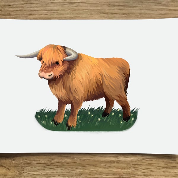 A6 Highland Cow Post Card (White Background)