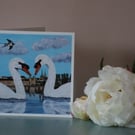 Swan Love Enniskillen Blank Greetings Card