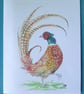 Pheasant blank inside card.  - Image 4