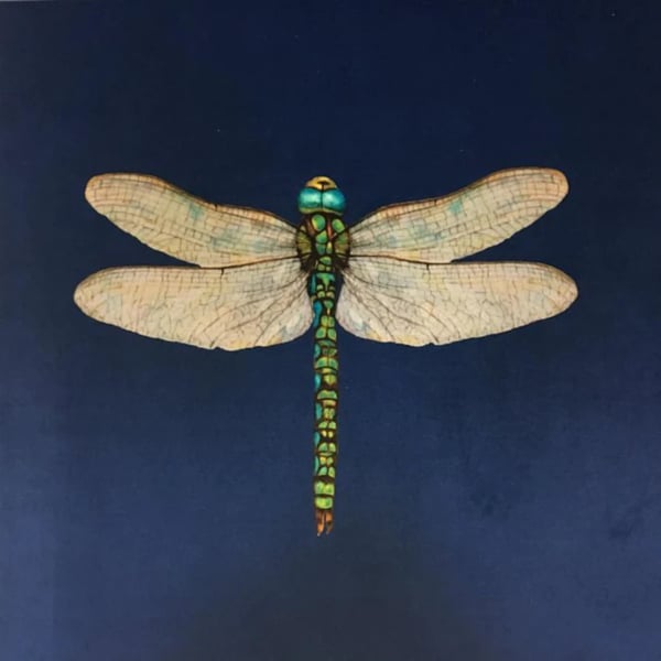 DragonFly Cushion