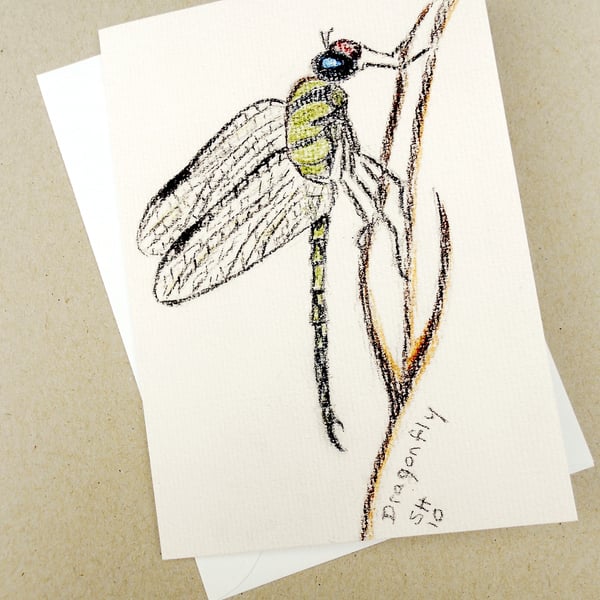 Dragonfly Pastel Card