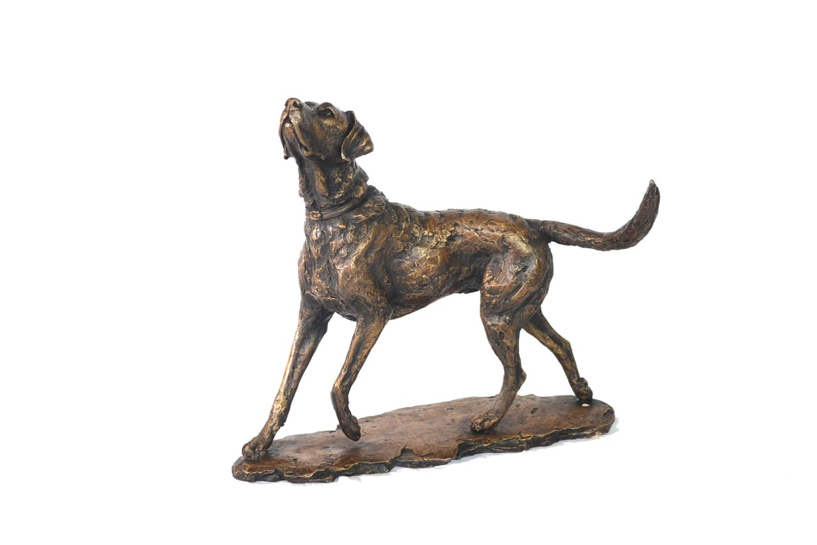 Foundry Bronze Playing Labrador Dog Statue Large Bronze Metal Sculpture