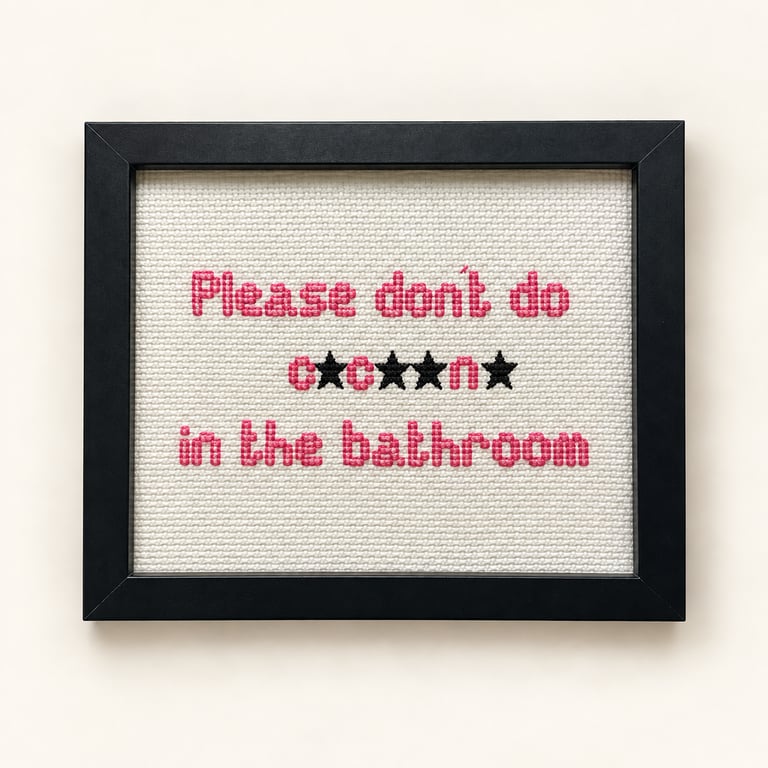 Funny Handmade Framed Cross-Stitch – Please Don't Do C.c..n. in the Bathroom 