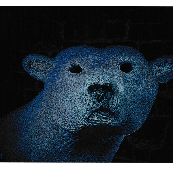 Neon Polar Digital Print