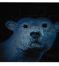 Neon Polar Digital Print - Image 1