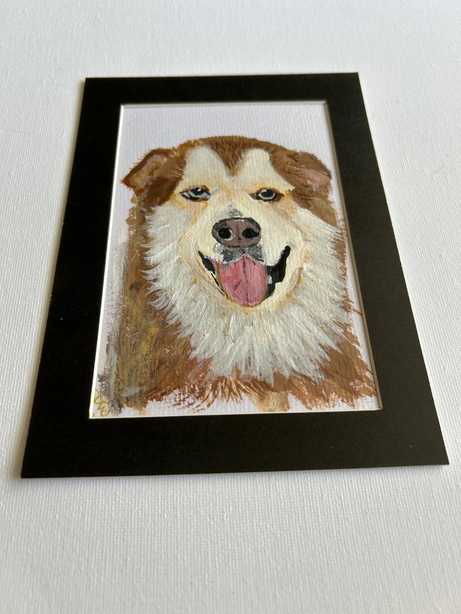 Original painting of husky type dog . 5x7" acrylic pet portrait 