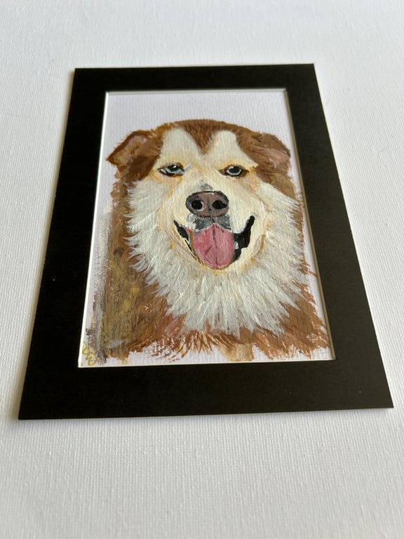 Original painting of husky type dog . 5x7" acrylic pet portrait 