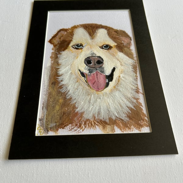 Original painting of husky type dog . 5x7" acrylic 
