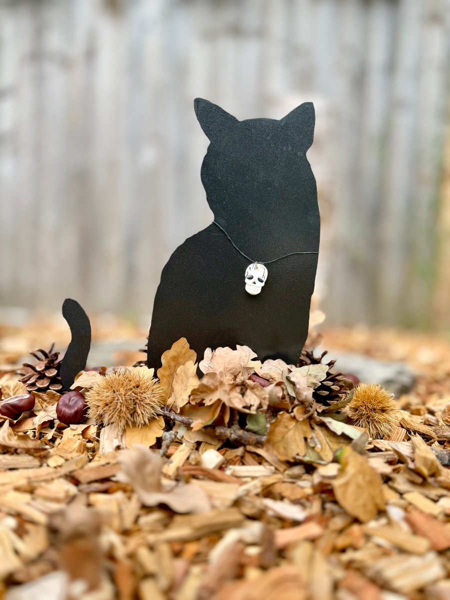 Catsjewelsdorset