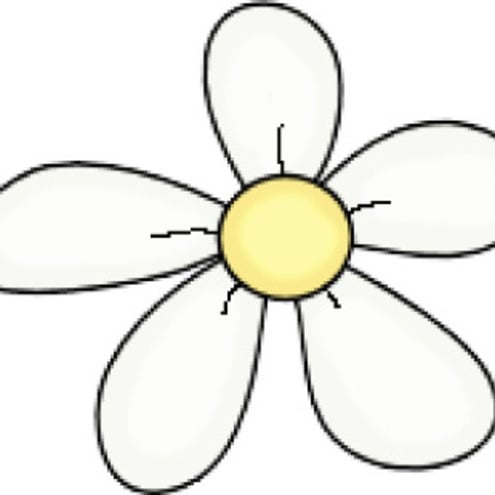 Custon Order of 25 Fairies