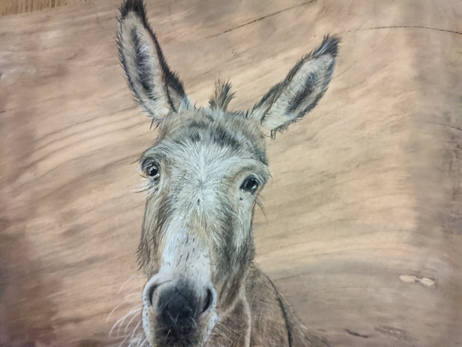 Donkey Giclee Print, Donkey Painting, A4