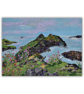 Coastal landscape - ready to hang - cliffs - Scotland - wildflowers - seascape