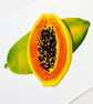 Papaya Fruit Art Print - Image 6