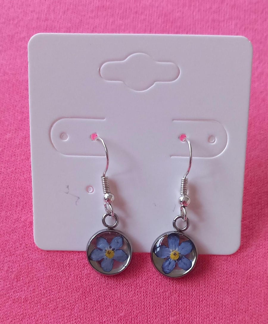 Dried flower dangle drop earrings, Forget me not resin jewellery, Little blue fl