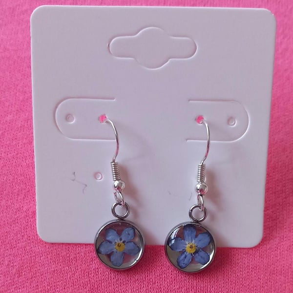 Dried flower dangle drop earrings, Forget me not resin jewellery, Little blue fl