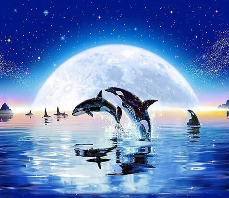 5D DIY Playful Killer Whale Orca Pair Diamond Art Painting, Round Rhinestone by 