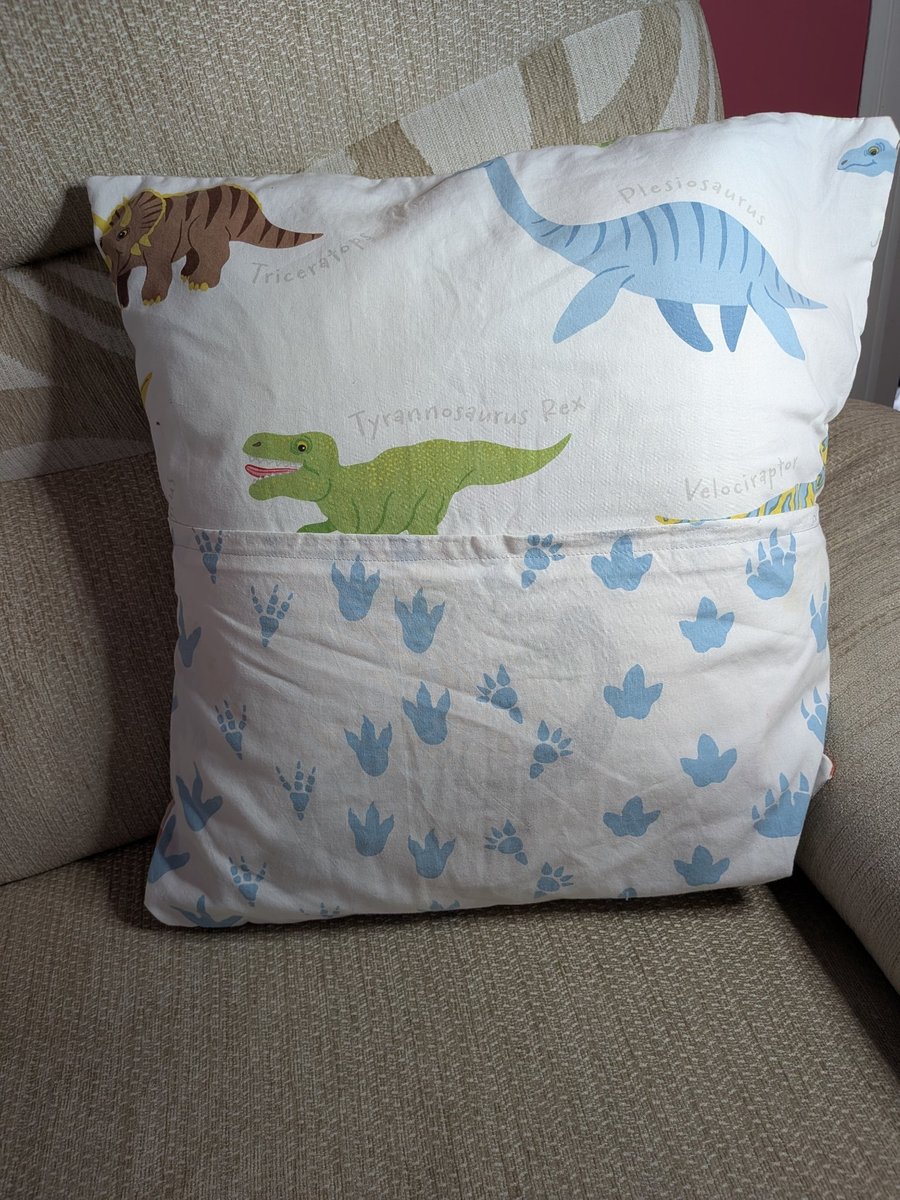 Cute Dinosaur book cushion