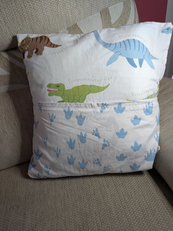 Cute Dinosaur book cushion