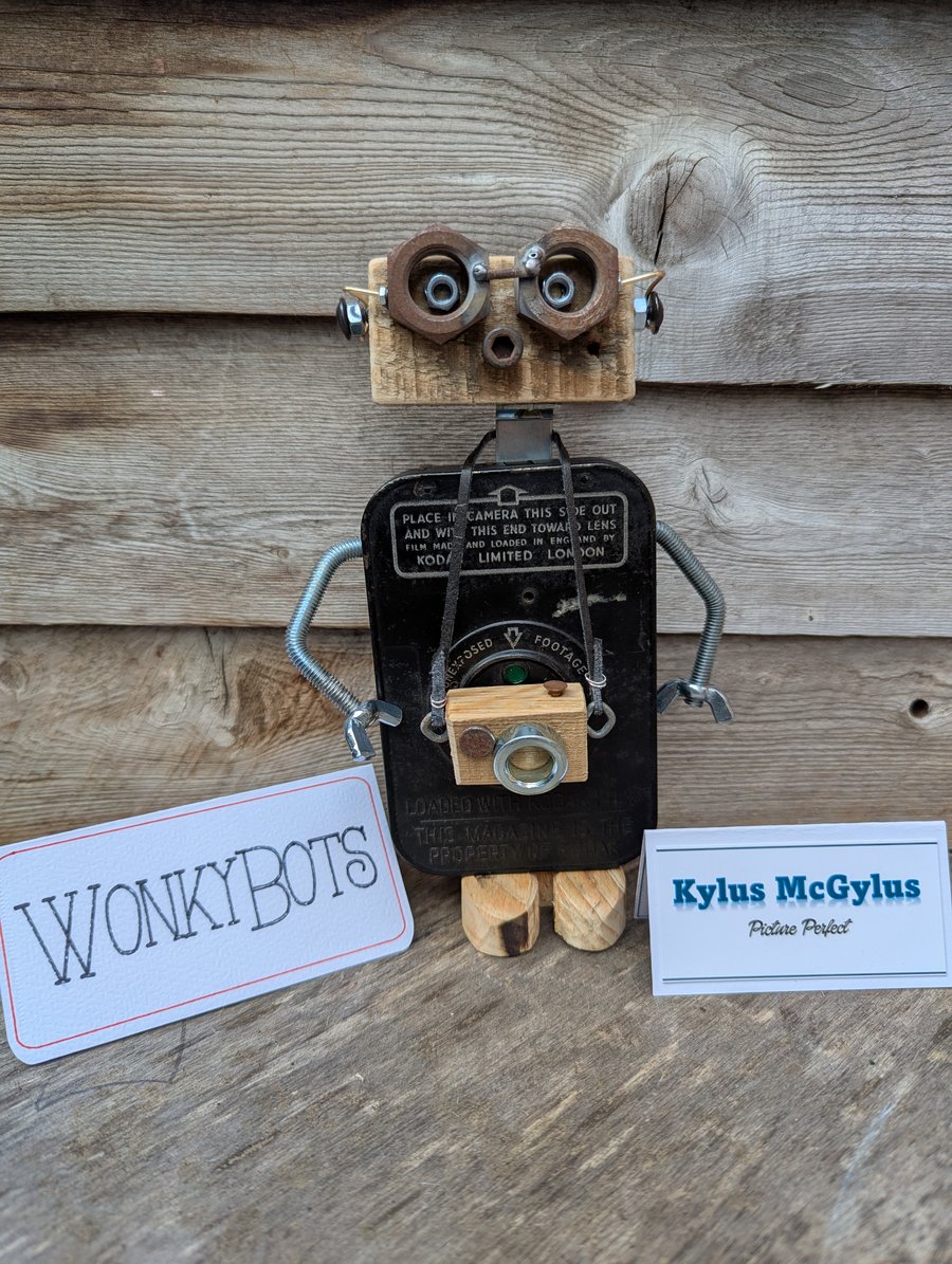 WonkyBot - Kylus McGylus The Photographer 