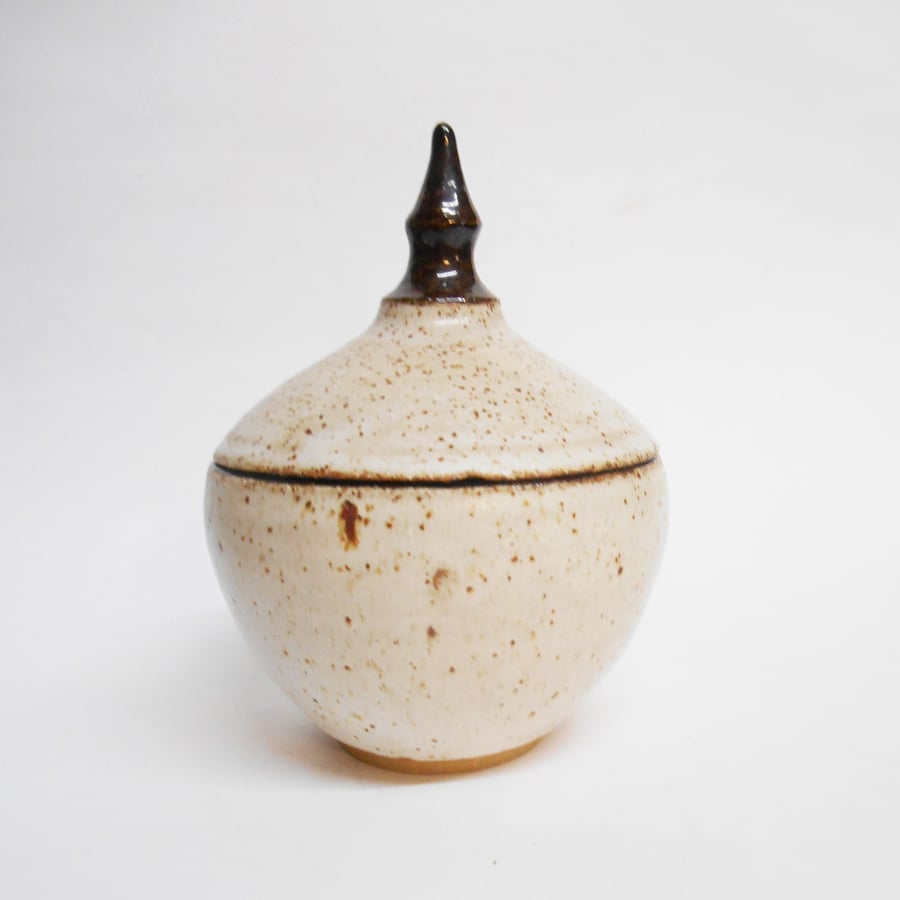 Ceramic trinket Pot or Pet Urn..