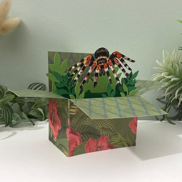 Tarantula Spider Card; Personalised, Birthday or Blank. Spider gift card holder.