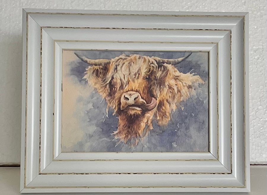 Highland Lick . Framed Special Edition Canvas Print 