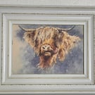 Highland Lick . Framed Special Edition Canvas Print 