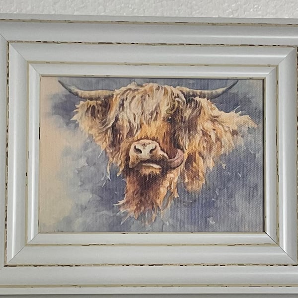 Highland Lick . Framed Special Edition Canvas Print 