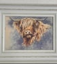 Highland Lick . Framed Special Edition Canvas Print 