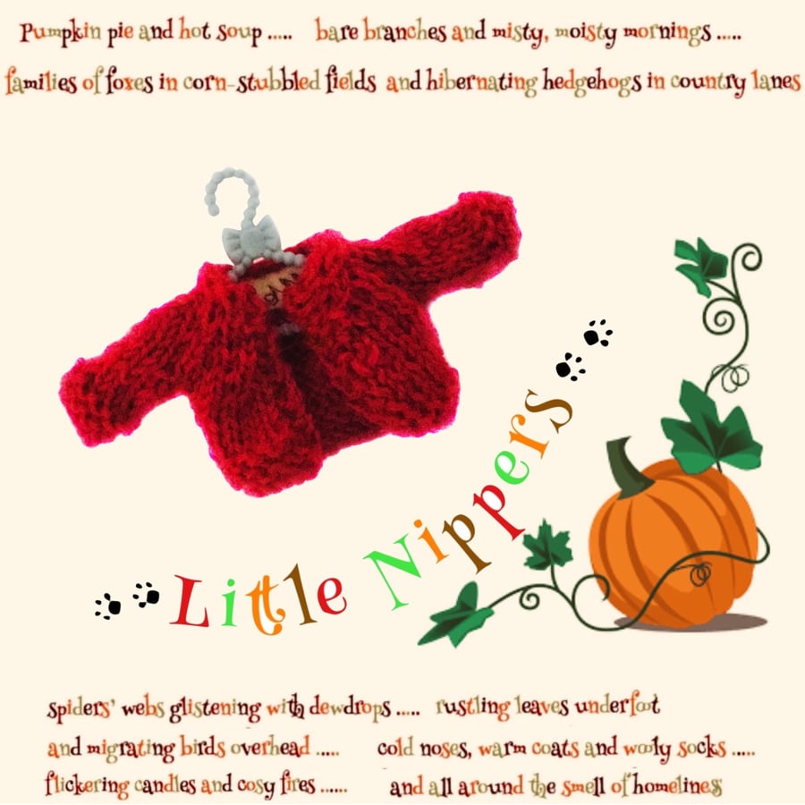 Reserved for Kat - Little Nippers’ Red Cardigan