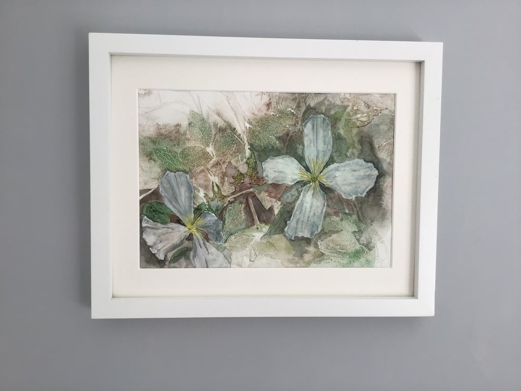 Clematis- Original Watercolour