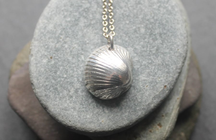 Small Fine Silver Cockle Shell Necklace
