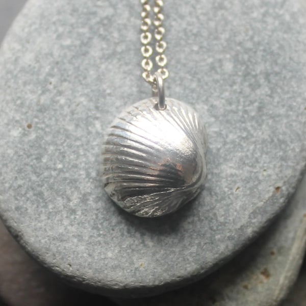 Small Fine Silver Cockle Shell Necklace