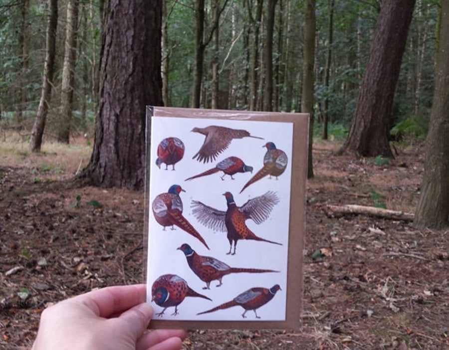Pheasants galore card
