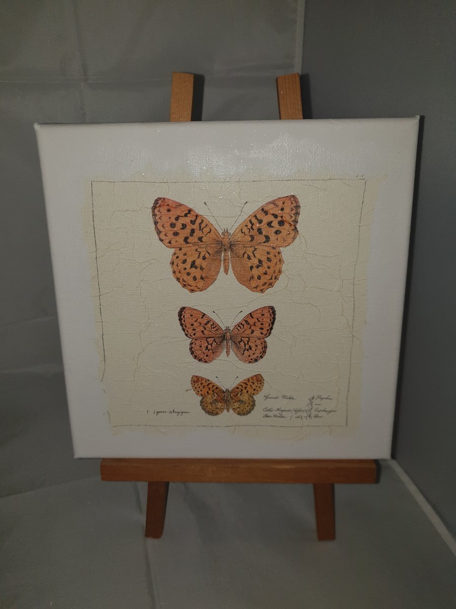 Butterfly canvas
