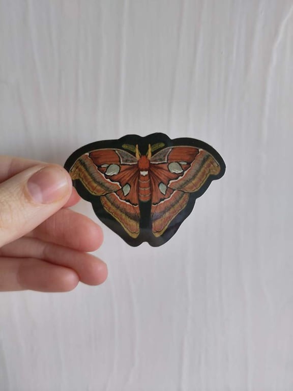 Atlas Moth Waterproof Vinyl Sticker