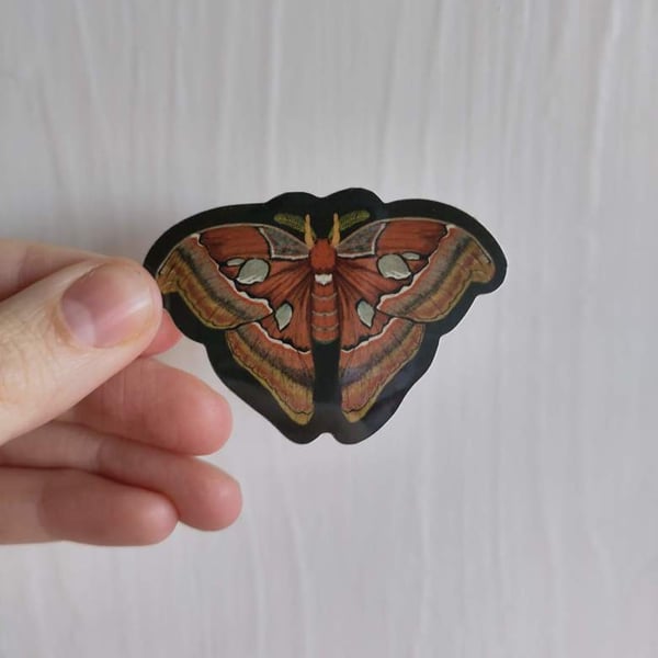 Atlas Moth Waterproof Vinyl Sticker