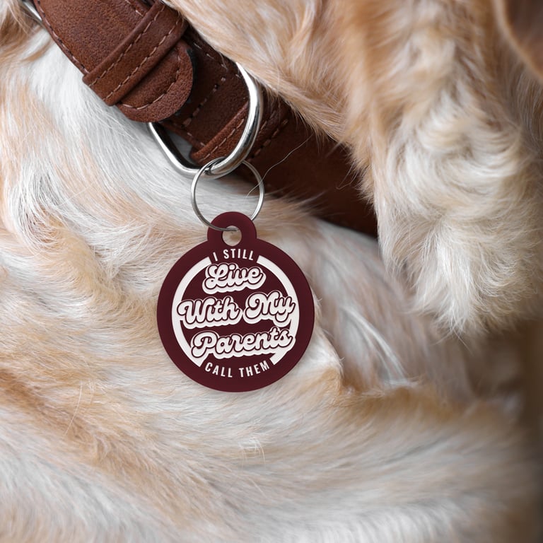 Live With My Parents - Retro: Personalised Dog ID Collar Funny Custom Tag