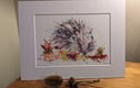 Woodland and Hedgerow Collection