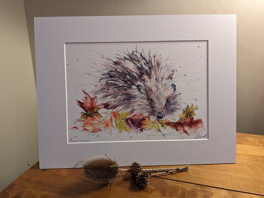 Autumn Hedgehog - An A4 or A3  signed print of an original painting