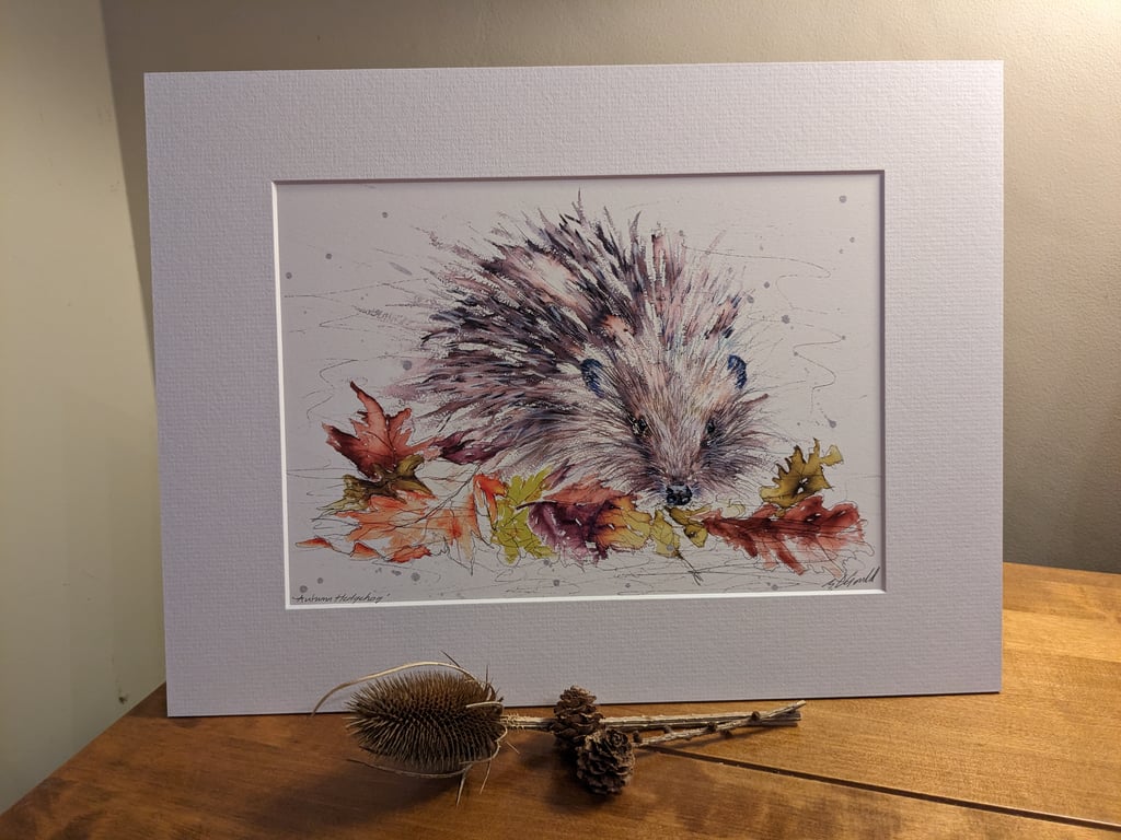 Autumn Hedgehog - An A4 or A3  signed print of an original painting