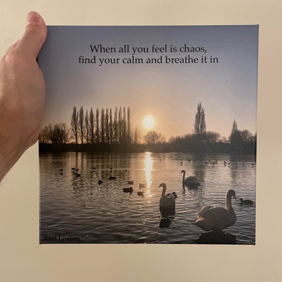 Swans Canvas print by Karl Loxton, 10 by 10 inches "Calm in the chaos"