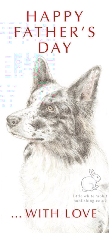 Nixi the Border Collie -  Father's Day Card