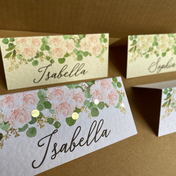 6x blush rose EUCALYPTUS name place CARDS sage green table setting wedding decor