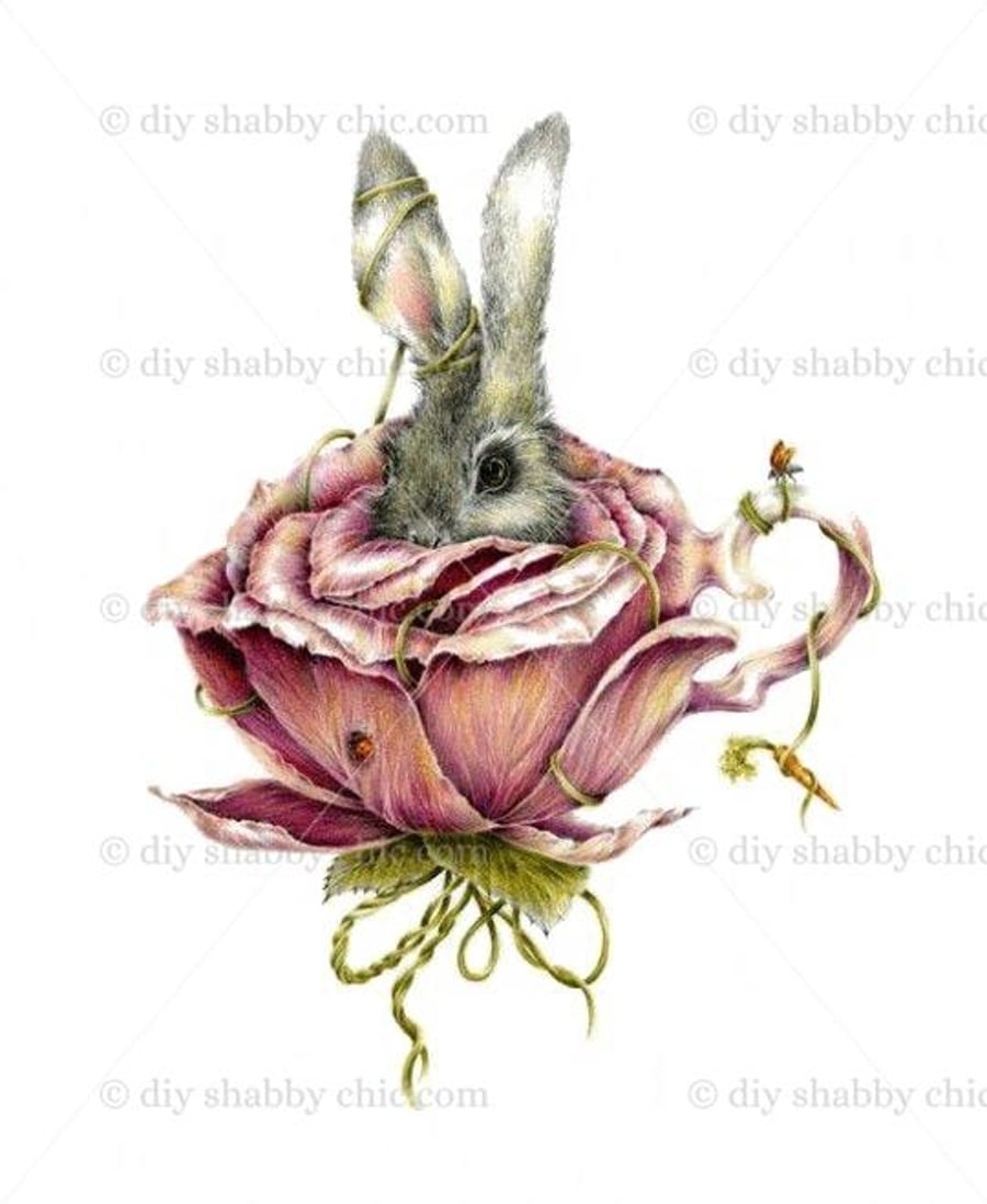 Waterslide Wood Furniture Vintage Image Transfer DIY Shabby Chic Art Rabbit Rose