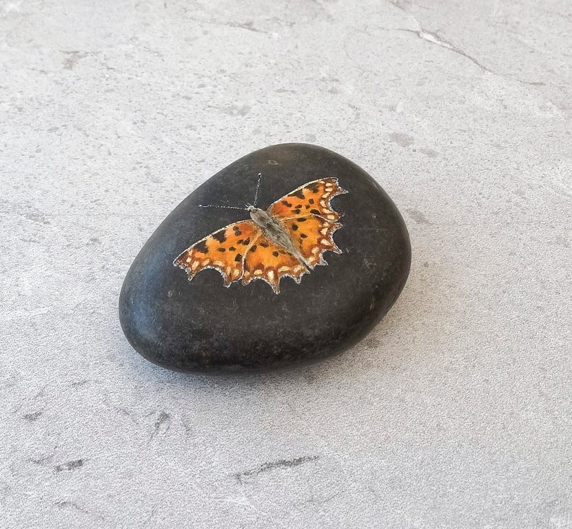 Butterfly Art Hand Painted Stone 'Comma Butterfly'