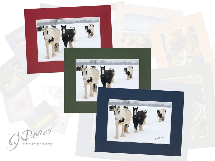 CJ119 - Ponies in the snow