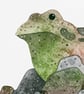 Frog pond, awesome animals, giclée A5 art print - Image 3