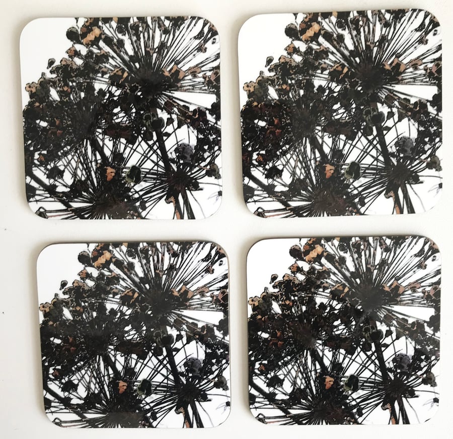 Allium Seedheads Coaster set 