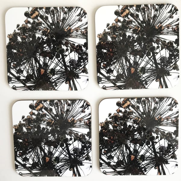 Allium Seedheads Coaster set 